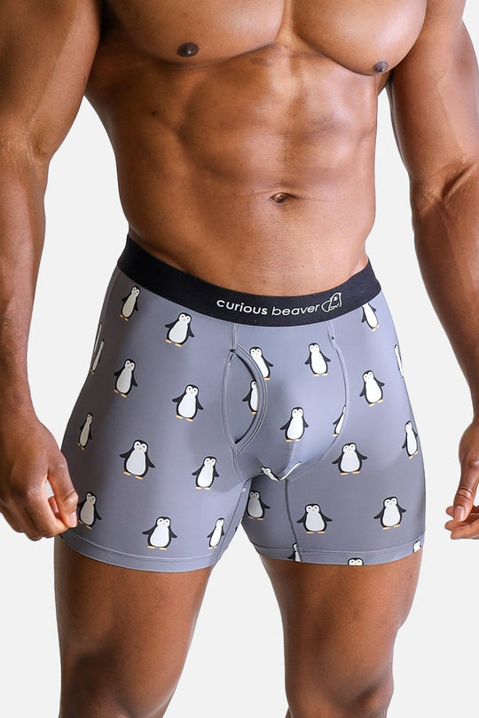 Men's Boxer Briefs - Penguins