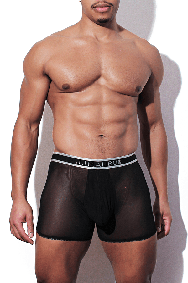 Stealthy Sheer Mesh Boxer Briefs - Black - JJ Malibu 