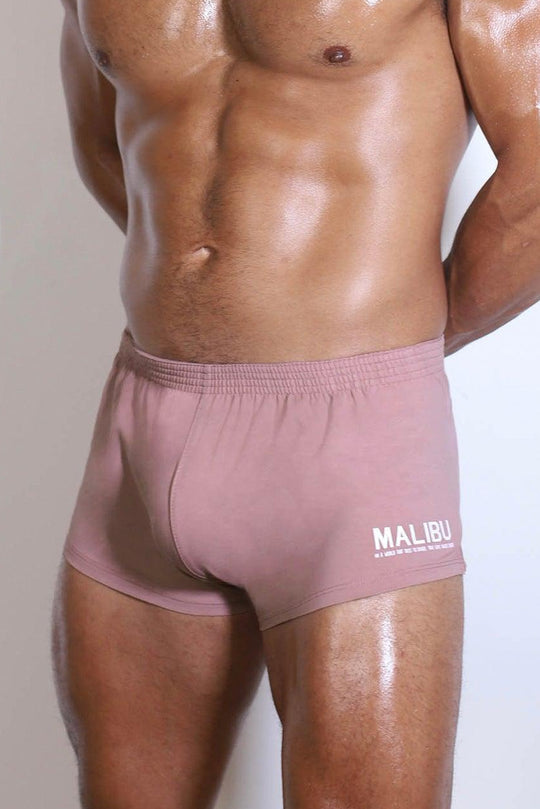 Stretch-It 2" Short Shorts - Light Taupe - JJ Malibu 