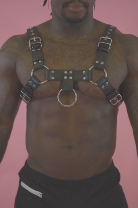 Demanding Leather Harness